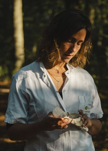 Stee, Lucinda van